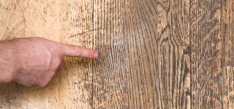 Wood Door Scratch Repair in West Modesto